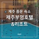 중문씨티호텔 | 제주부영호텔 리조트 수영장 중문 숙소로 만족했던 내돈내산 후기