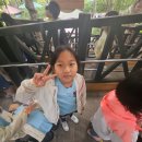 호신태권도 이미지