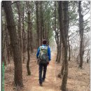 버스정류장 07-782 | 제주올레 2차 17일( 거문오름.만장굴.김녕미로공원) 3.4.