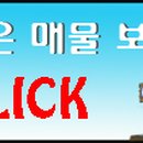 양평백운공인중개사사무소 이미지