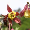 연가리맑은터 이미지