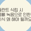 이하루치과 이미지