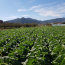 지리산면옥 이미지