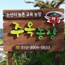 주옥 - 제주시 | 주옥