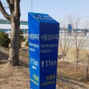 낙동제방 삼락동주민센터 맞은편 | &lt;부산, 근교 트레킹&gt; 낙동제방 벚꽃길(북구경계~낙동제방 숲속도서관, 4.5km구간) 트레킹!!