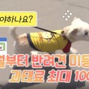 미등록9 연합뉴스