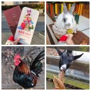 청성농장 이미지