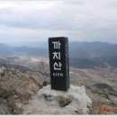 마일5-8 농로 | 2011. 04. 03. 까치산(615m)