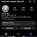 노진우내과 네이버블로그