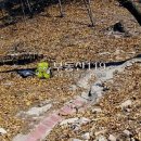 효령로67길 64 (3) 이미지