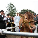 한우가 최고야 이미지