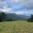 가을 숲으로 놀러가자 이미지