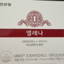 유한회사 매일환경운수 | 유한양행 엘레나(여성 유산균, 질 영양제)