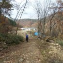 인태농장 이미지