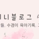 매그네이트 이미지