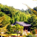 선무관 | [달성] 태고정·육신사