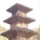 향성