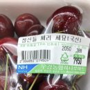 관악구민체육센터 네이버블로그