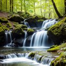 함덕달자게스트하우스그리고펜션 | 제주도함덕에서 즐기는 여행, 맛집부터 숙소까지 완벽 가이드