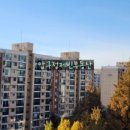 압구정-118 이미지