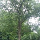 손기정문화체육센터 이미지