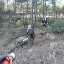 제주드론방제단