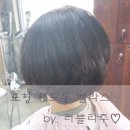 BELLACE(벨라스) 네이버블로그