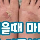 젬마인셀덤