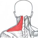 배방PT FNB GYM 이미지