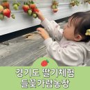 들꽃가람 | 경기도 연천 딸기체험 들꽃가람농장 가격 키즈카페
