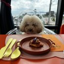 올가민박 | 울산 간절곶 애견동반 파스타 맛집 [마실감] 방문후기