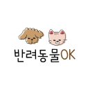 애견시선 이미지