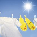 세탁의정석 이미지