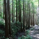 화인상사 - 중구 | 화인상사