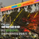 소향공원 | 부산 영수증콘서트 화명생태공원 인증방법과 관람 후기