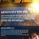 제4땅굴 Daum카페