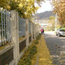 은행약수터 이미지