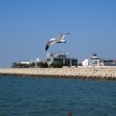 새만금유람선(주) 이미지