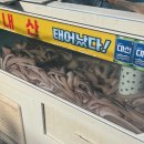 역전산곰장어 이미지