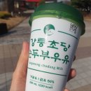 댕장금 | 강릉 초당 순두부 우유 후기!