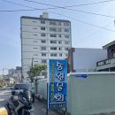 송원애견 이미지