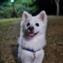 뉴에스동물병원 이미지