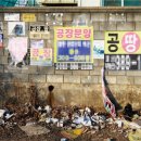 동아유지 이미지