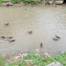 나무오리어린이집 이미지