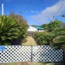 하도탐나 이미지