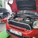BMW 미니 디젤 필수 정비! DPF 경고등 점등으로 인한 크리닝 3종 세트 시공 후기 [대구수입차정비]