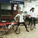 치즈씨 이미지