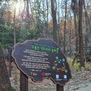 구름산산림욕장 | 광명 밤일마을 구름산 보양식 맛집 &lt;초월흑염소&gt;