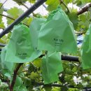 종혁농장 이미지