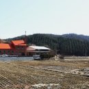 가곡3리 이미지